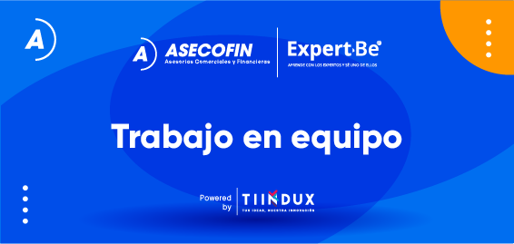 Trabajo en equipo